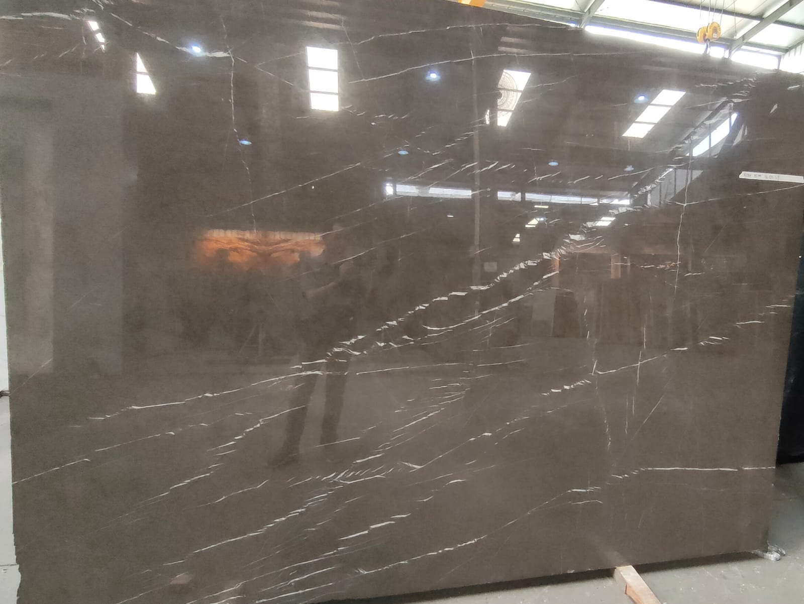 Imported Marble - 36 | Petra Grey